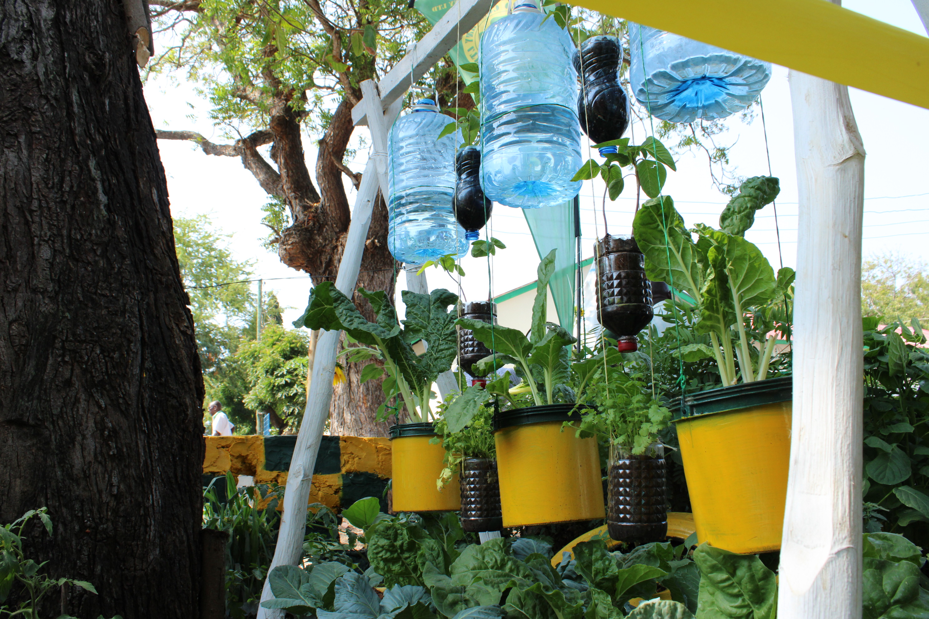 A simple irrigation system for a vertical garden