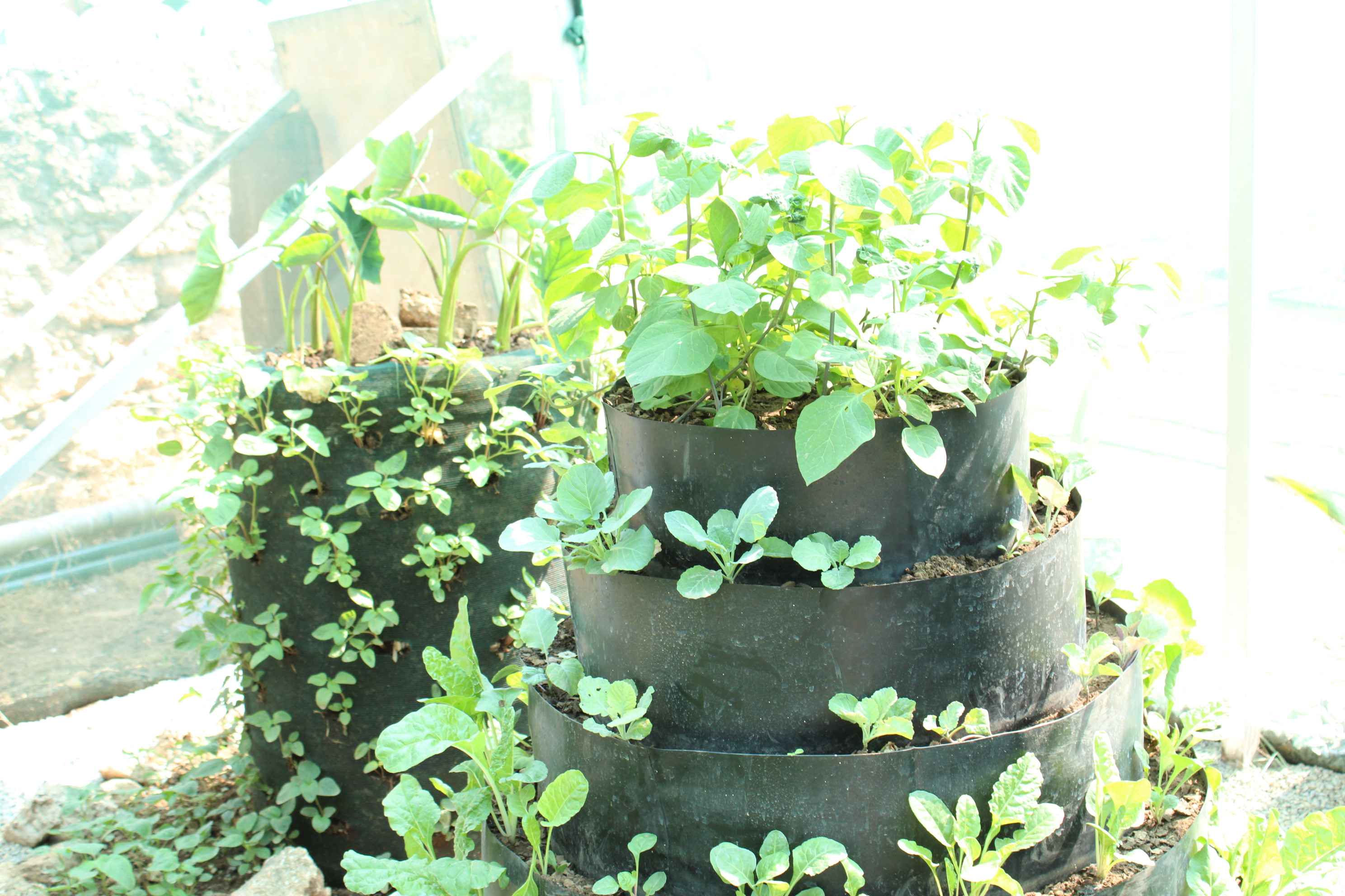 Multi storey kitchen garden