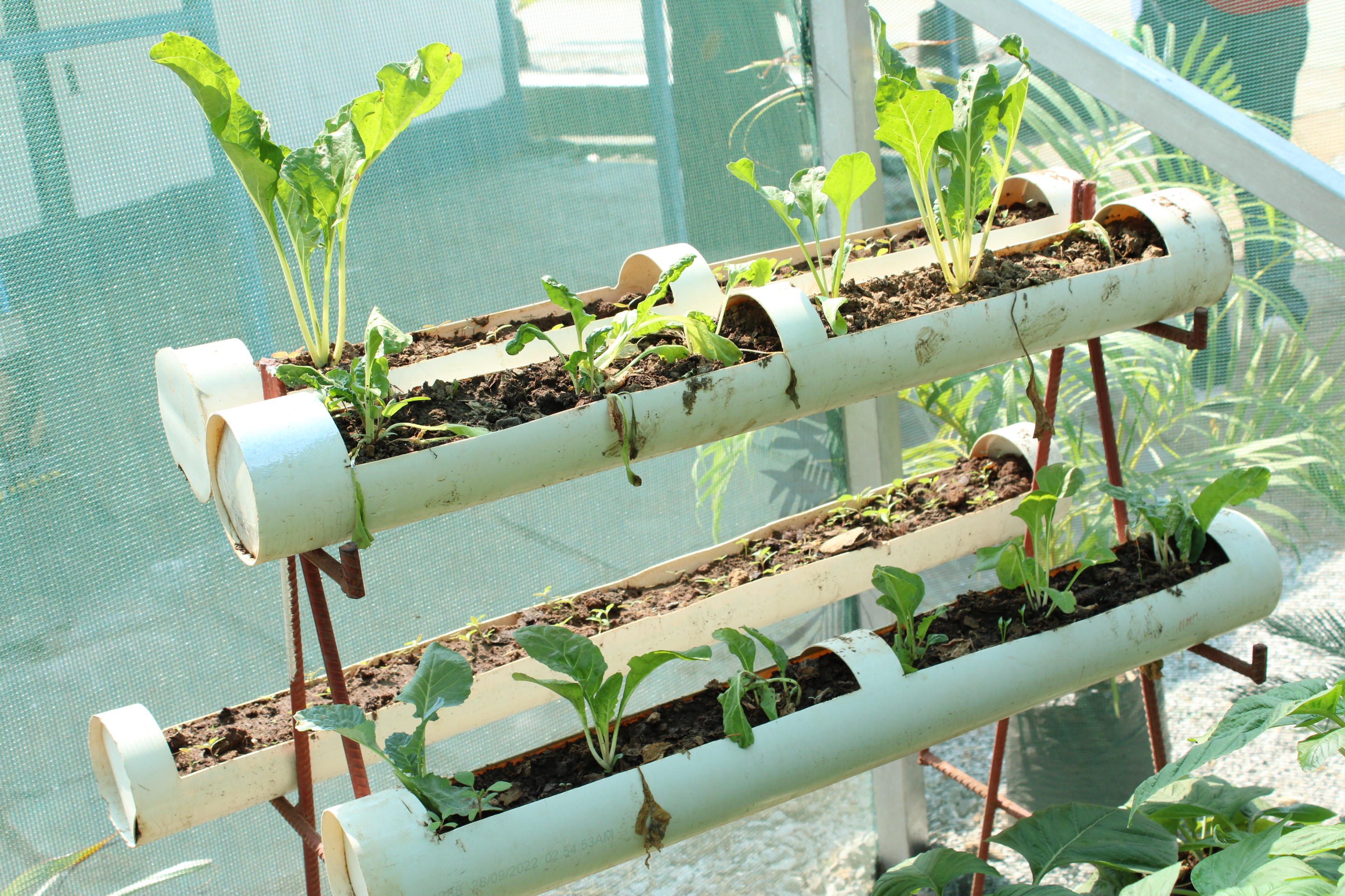 Modern hanging garden