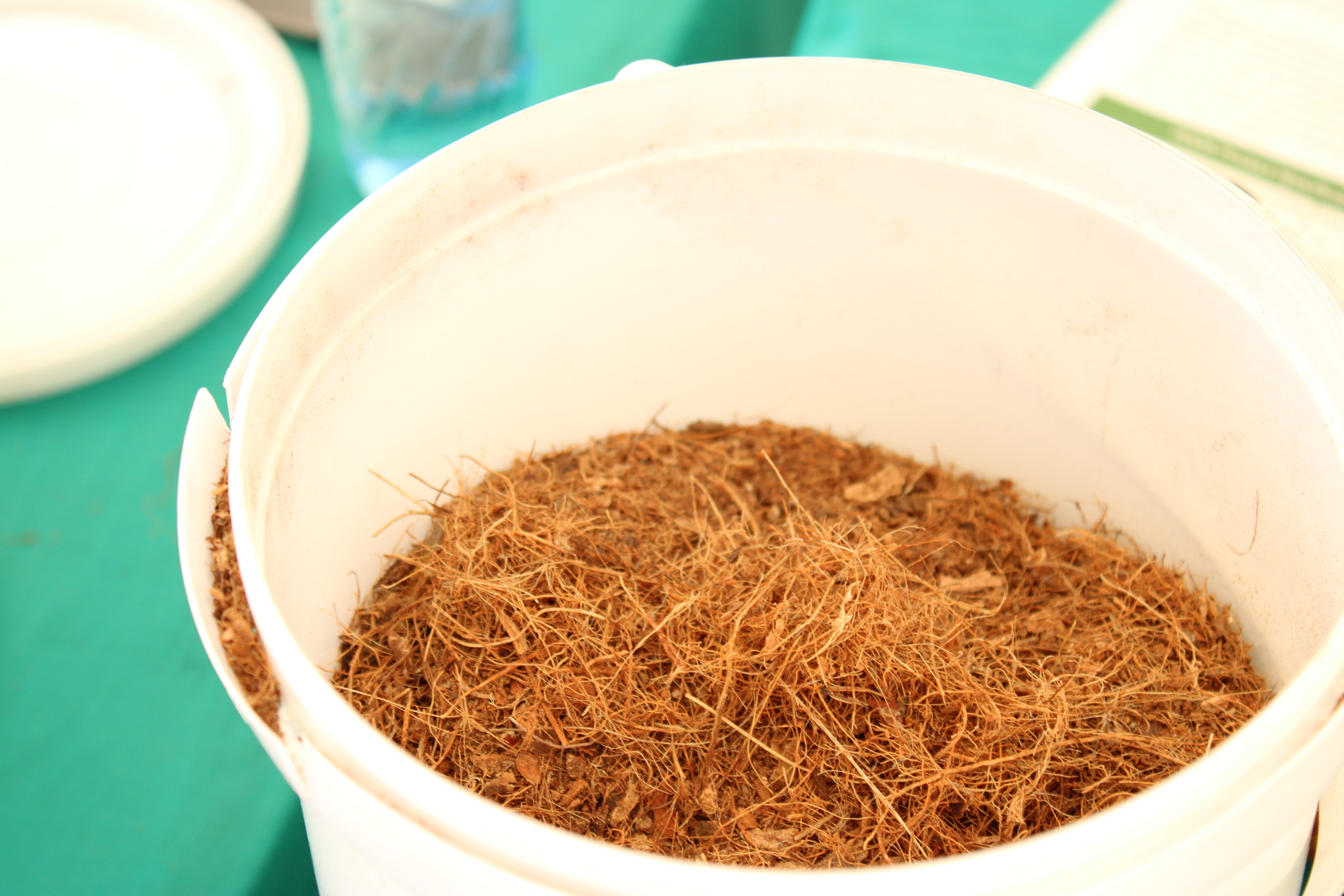 Cocopeat extracts from coconut shells