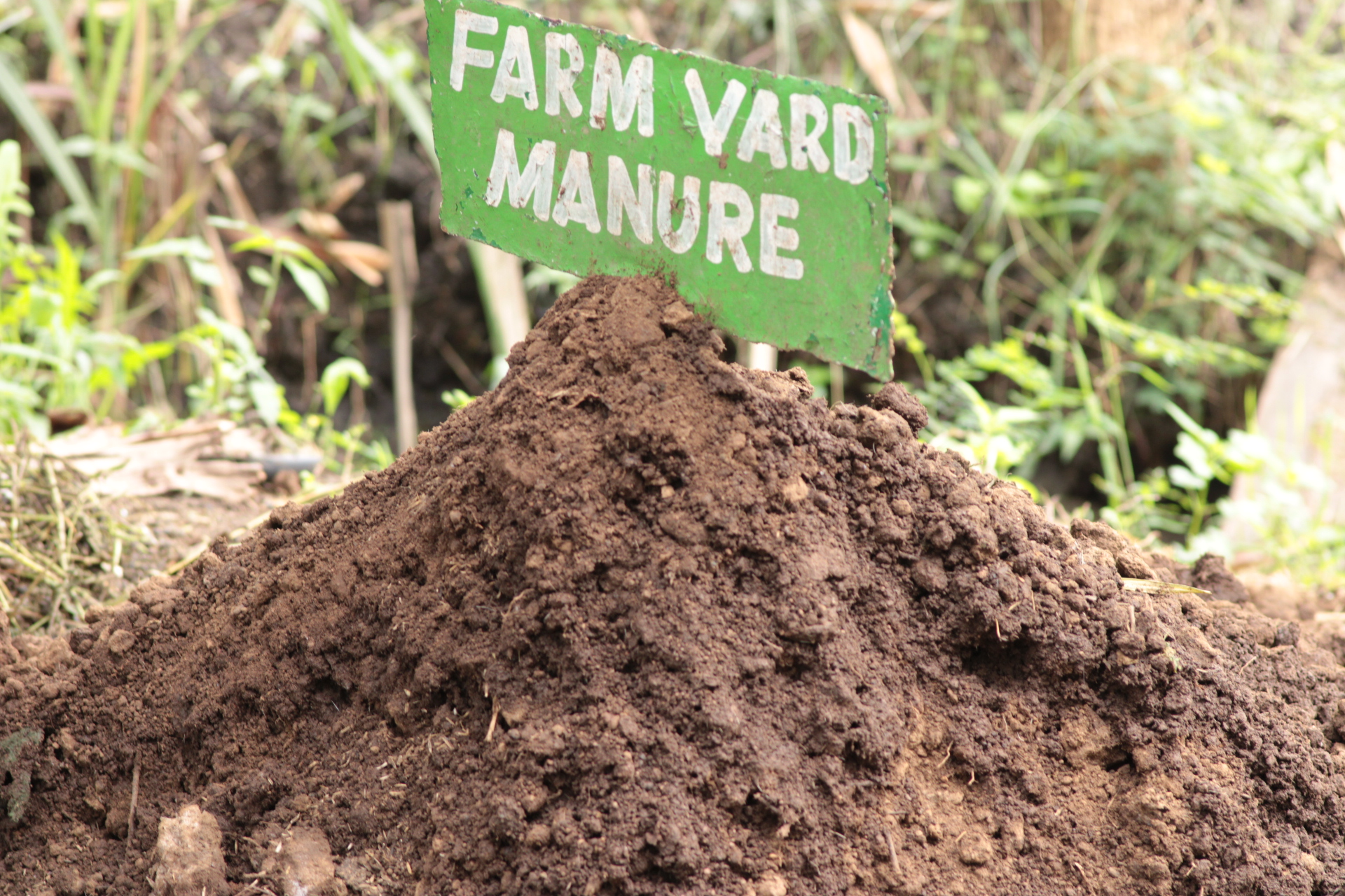 Ready made compost manure