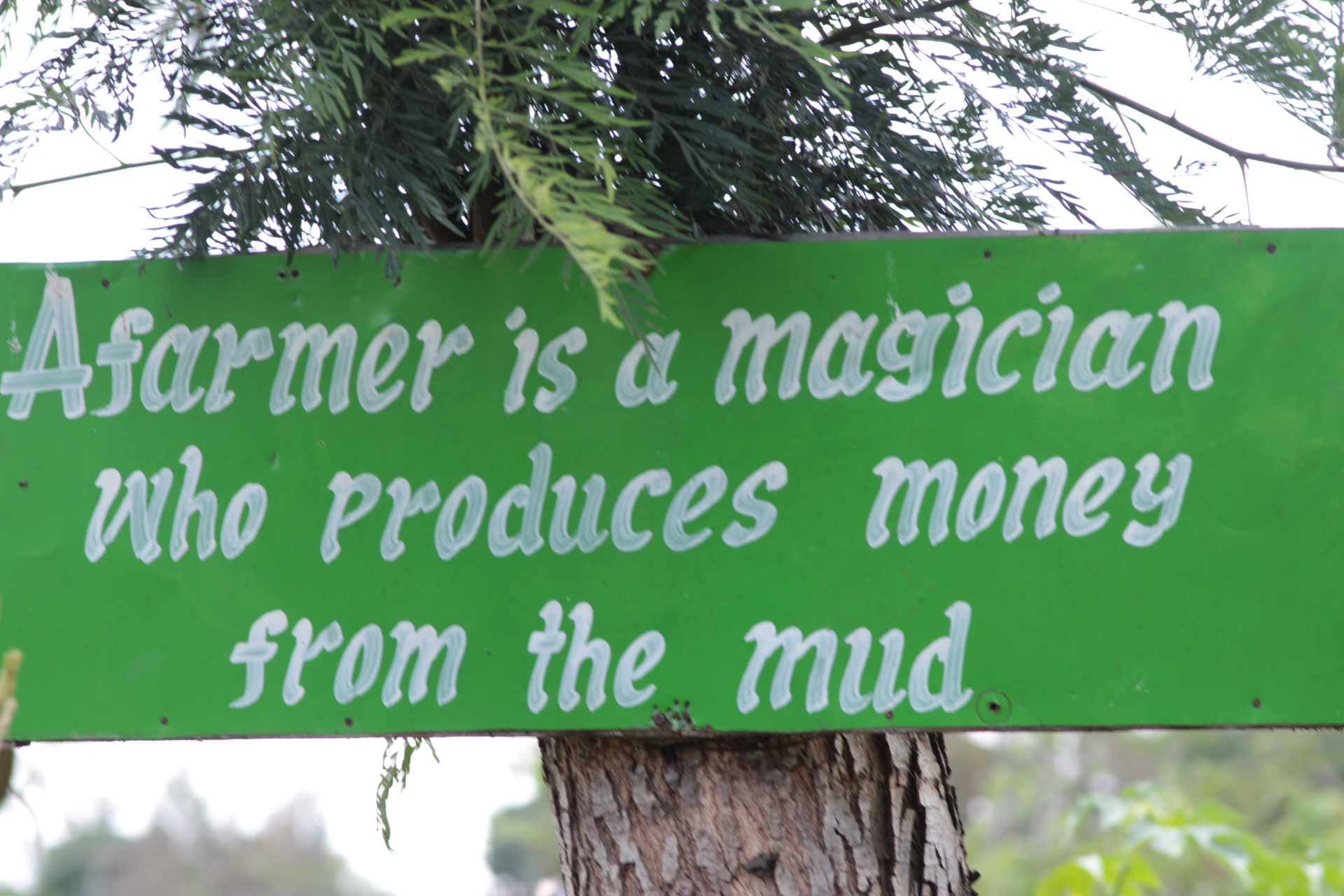 A farmer described as magician