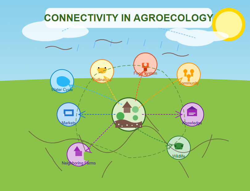 Connectivity