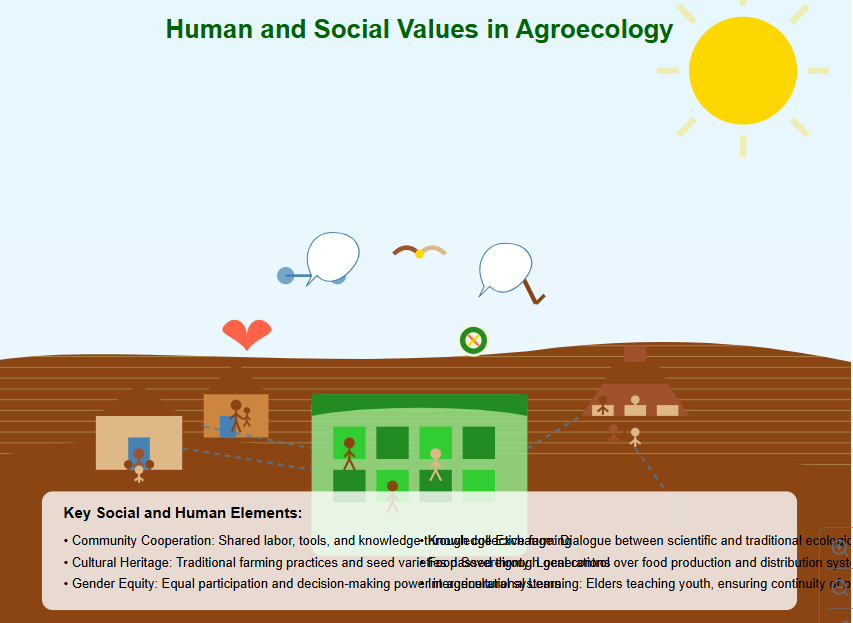 Social Values