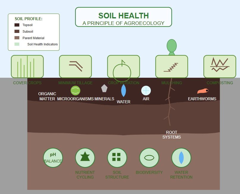 Soil Health
